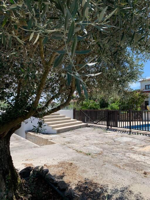 Casa Da Oliveira Villa Nelas Exterior photo